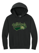 Load image into Gallery viewer, Taylors Falls Comfort Colors Youth Hoodie