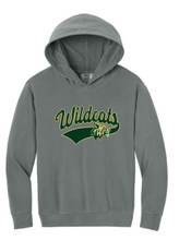 Load image into Gallery viewer, Taylors Falls Comfort Colors Youth Hoodie