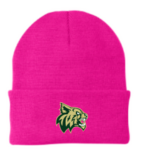Load image into Gallery viewer, Taylors Falls Winter Beanie
