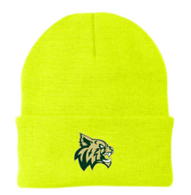 Load image into Gallery viewer, Taylors Falls Winter Beanie
